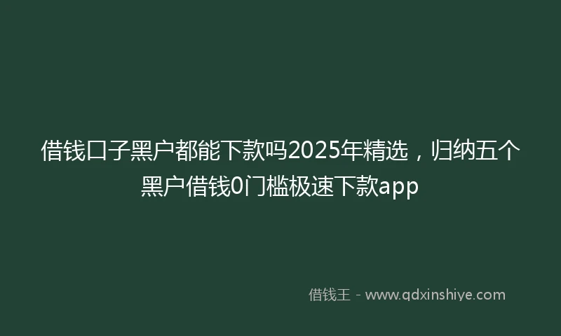 借钱口子黑户都能下款吗2025年精选，归纳五个黑户借钱0门槛极速下款app