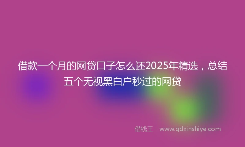 借款一个月的网贷口子怎么还2025年精选,总结五个无视黑白户秒过的网贷
