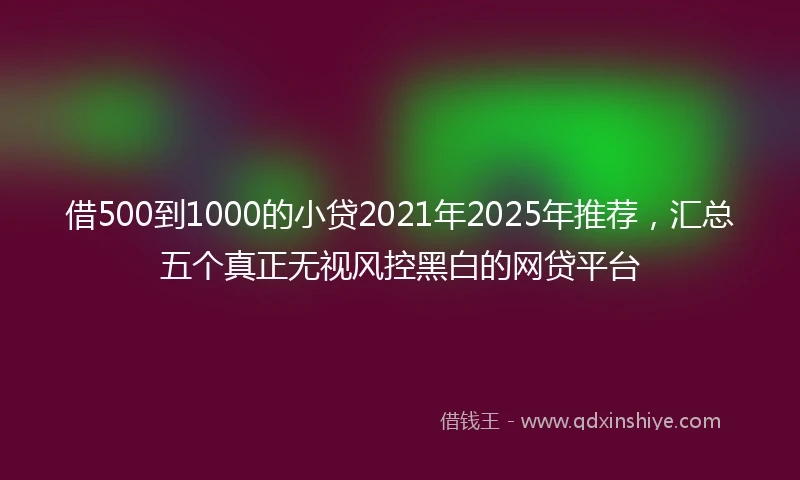 借500到1000的小贷2021年2025年推荐，汇总五个真正无视风控黑白的网贷平台