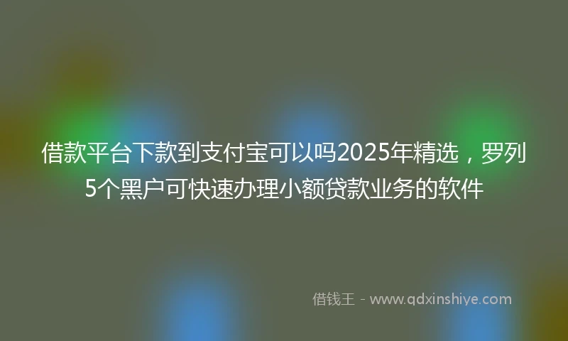 借款平台下款到支付宝可以吗2025年精选,罗列5个黑户可快速办理小额贷款业务的软件
