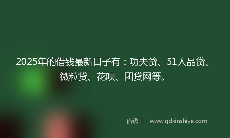 2025年的借钱最新口子有：功夫贷、51人品贷、微粒贷、花呗、团贷网等。