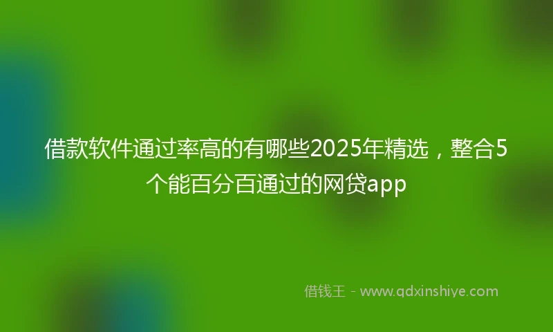 借款软件通过率高的有哪些2025年精选，整合5个能百分百通过的网贷app