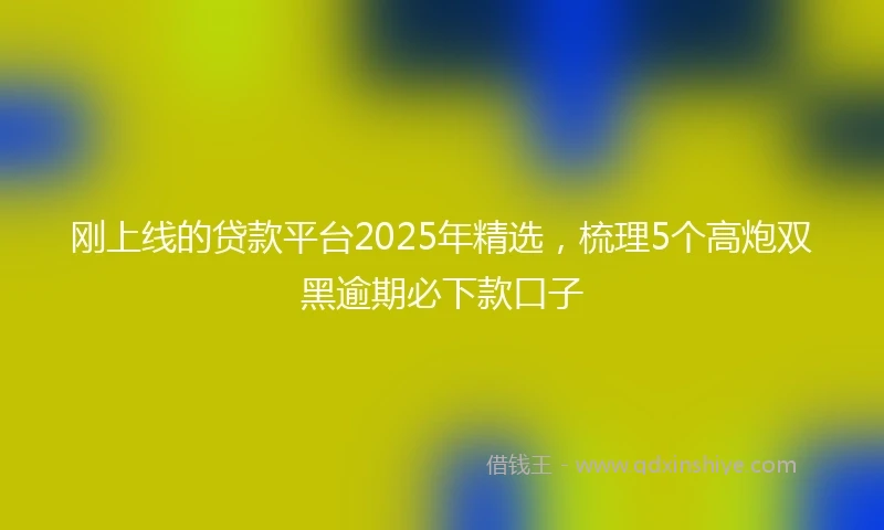 刚上线的贷款平台2025年精选，梳理5个高炮双黑逾期必下款口子