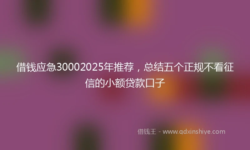 借钱应急30002025年推荐，总结五个正规不看征信的小额贷款口子