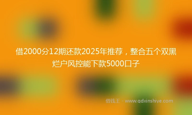 借2000分12期还款2025年推荐，整合五个双黑烂户风控能下款5000口子