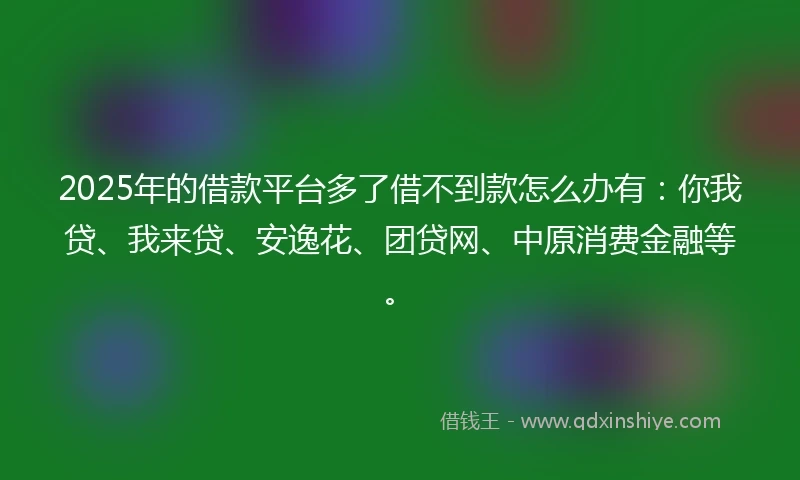 2025年的借款平台多了借不到款怎么办有：你我贷、我来贷、安逸花、团贷网、中原消费金融等。