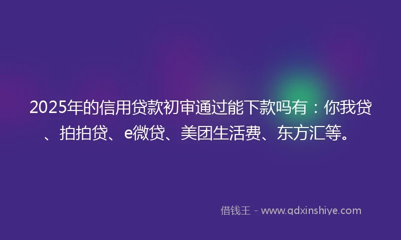 2025年的信用贷款初审通过能下款吗有：你我贷、拍拍贷、e微贷、美团生活费、东方汇等。