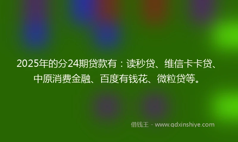 2025年的分24期贷款有：读秒贷、维信卡卡贷、中原消费金融、百度有钱花、微粒贷等。