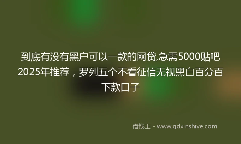到底有没有黑户可以一款的网贷,急需5000贴吧2025年推荐,罗列五个不看征信无视黑白百分百下款口子