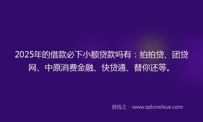 2025年的借款必下小额贷款吗有：拍拍贷、团贷网、中原消费金融、快贷通、替你还等。