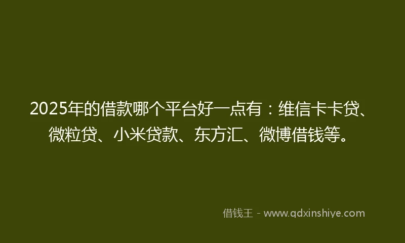2025年的借款哪个平台好一点有：维信卡卡贷、微粒贷、小米贷款、东方汇、微博借钱等。