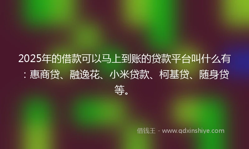 2025年的借款可以马上到账的贷款平台叫什么有：惠商贷、融逸花、小米贷款、柯基贷、随身贷等。