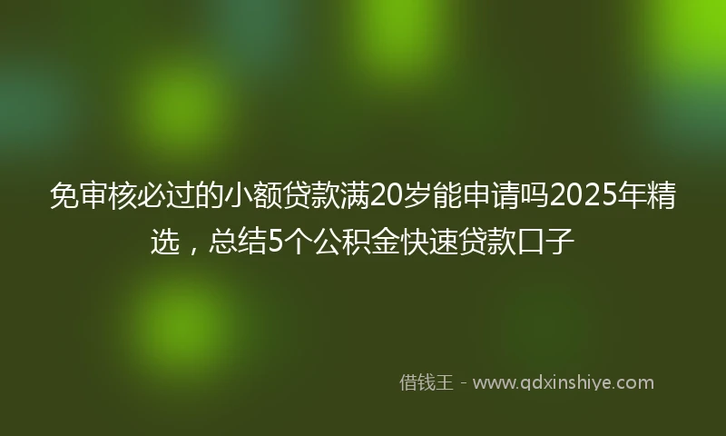 免审核必过的小额贷款满20岁能申请吗2025年精选，总结5个公积金快速贷款口子