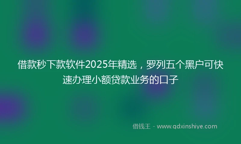 借款秒下款软件2025年精选，罗列五个黑户可快速办理小额贷款业务的口子
