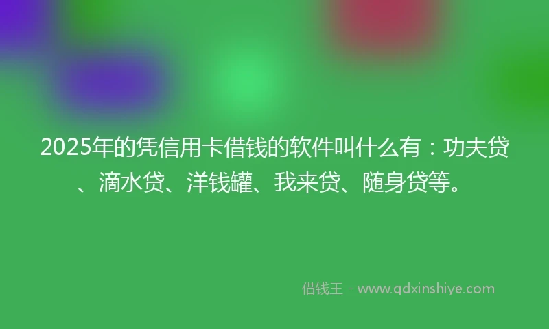 2025年的凭信用卡借钱的软件叫什么有：功夫贷、滴水贷、洋钱罐、我来贷、随身贷等。