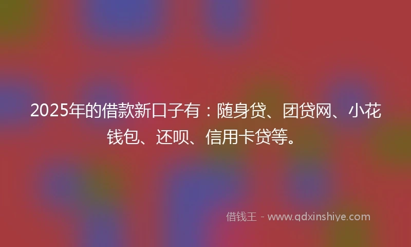 2025年的借款新口子有：随身贷、团贷网、小花钱包、还呗、信用卡贷等。