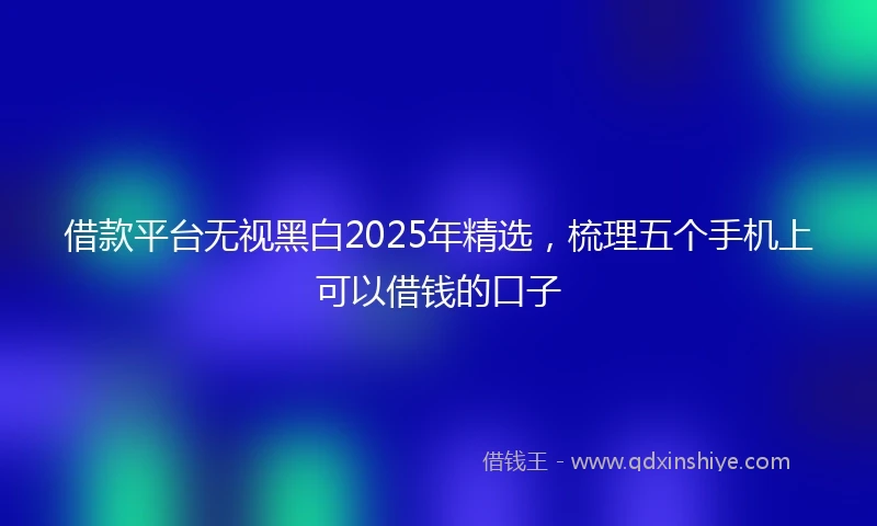 借款平台无视黑白2025年精选，梳理五个手机上可以借钱的口子