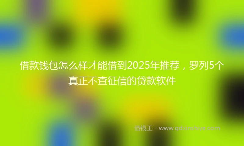 借款钱包怎么样才能借到2025年推荐，罗列5个真正不查征信的贷款软件