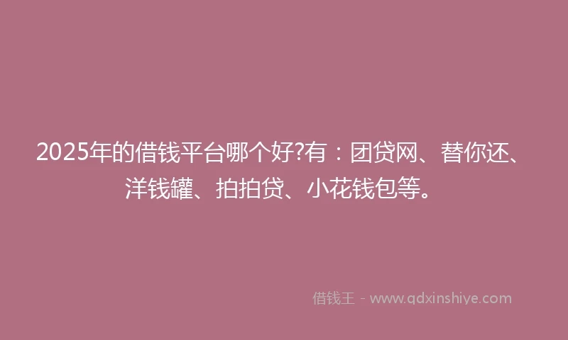 2025年的借钱平台哪个好?有：团贷网、替你还、洋钱罐、拍拍贷、小花钱包等。