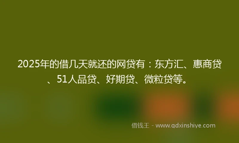 2025年的借几天就还的网贷有：东方汇、惠商贷、51人品贷、好期贷、微粒贷等。