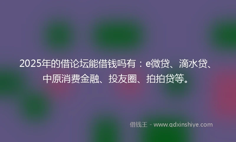 2025年的借论坛能借钱吗有：e微贷、滴水贷、中原消费金融、投友圈、拍拍贷等。