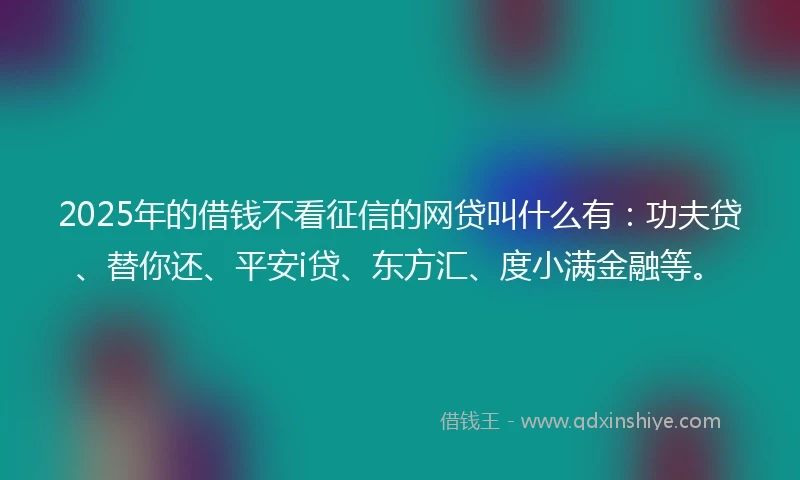 2025年的借钱不看征信的网贷叫什么有：功夫贷、替你还、平安i贷、东方汇、度小满金融等。