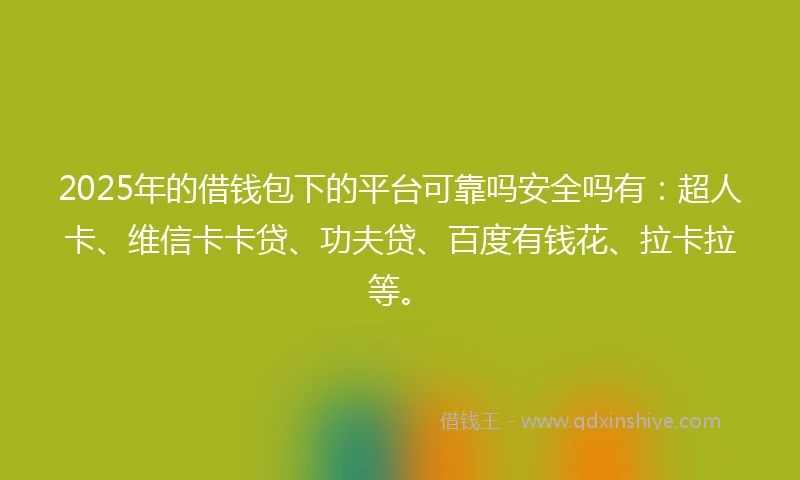 2025年的借钱包下的平台可靠吗安全吗有：超人卡、维信卡卡贷、功夫贷、百度有钱花、拉卡拉等。
