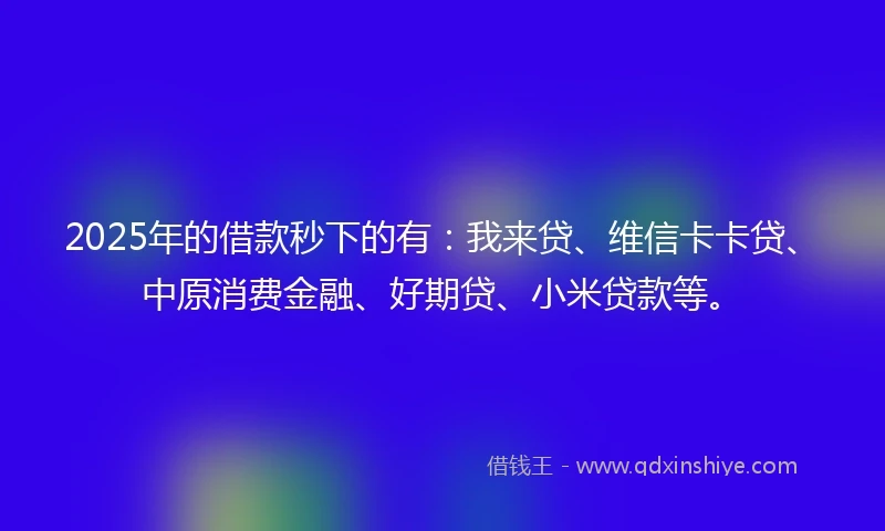 2025年的借款秒下的有：我来贷、维信卡卡贷、中原消费金融、好期贷、小米贷款等。