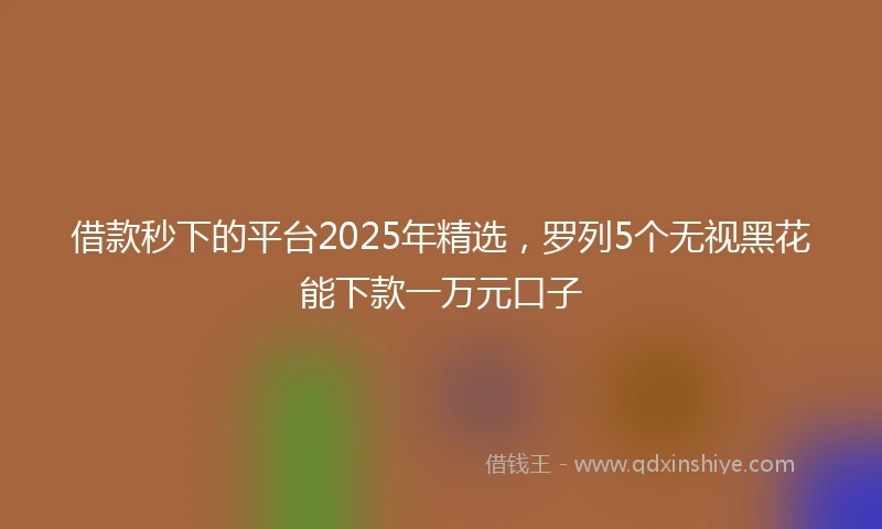 借款秒下的平台2025年精选，罗列5个无视黑花能下款一万元口子