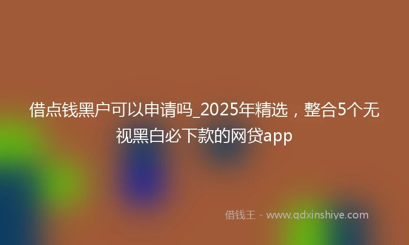 借点钱黑户可以申请吗_2025年精选，整合5个无视黑白必下款的网贷app
