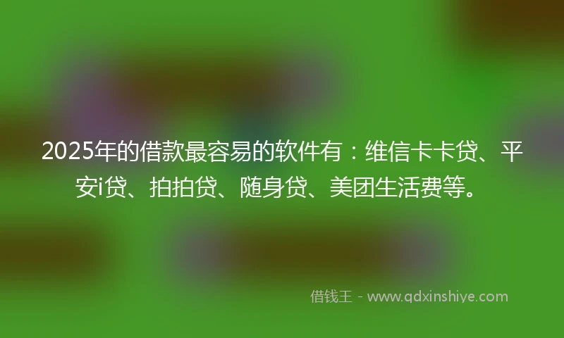 2025年的借款最容易的软件有：维信卡卡贷、平安i贷、拍拍贷、随身贷、美团生活费等。