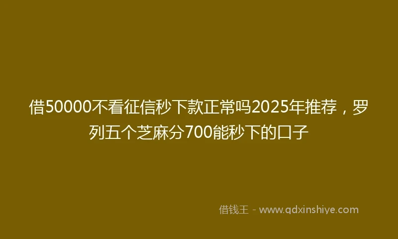 借50000不看征信秒下款正常吗2025年推荐，罗列五个芝麻分700能秒下的口子