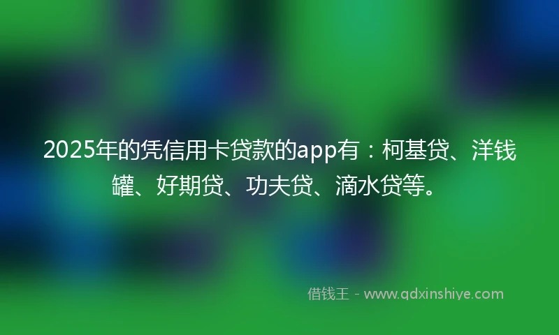 2025年的凭信用卡贷款的app有：柯基贷、洋钱罐、好期贷、功夫贷、滴水贷等。