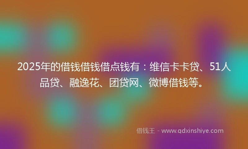 2025年的借钱借钱借点钱有：维信卡卡贷、51人品贷、融逸花、团贷网、微博借钱等。