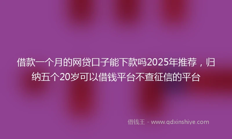 借款一个月的网贷口子能下款吗2025年推荐，归纳五个20岁可以借钱平台不查征信的平台