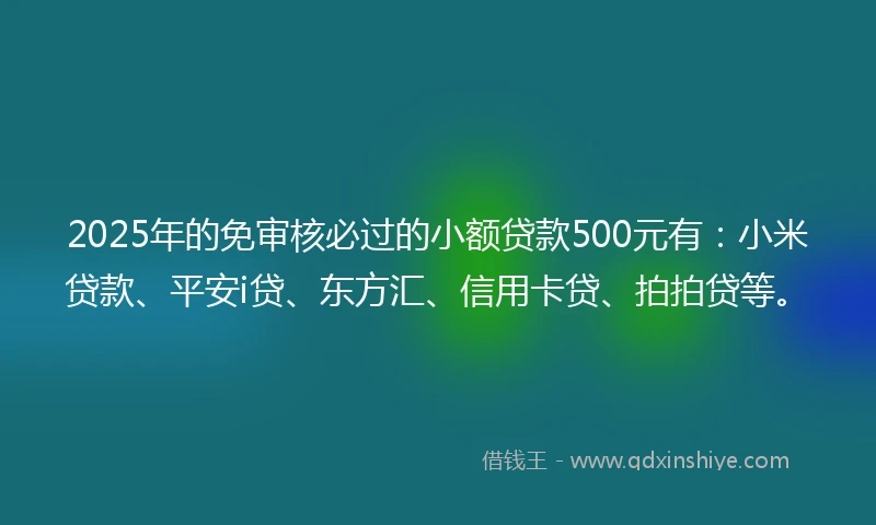 2025年的免审核必过的小额贷款500元有：小米贷款、平安i贷、东方汇、信用卡贷、拍拍贷等。
