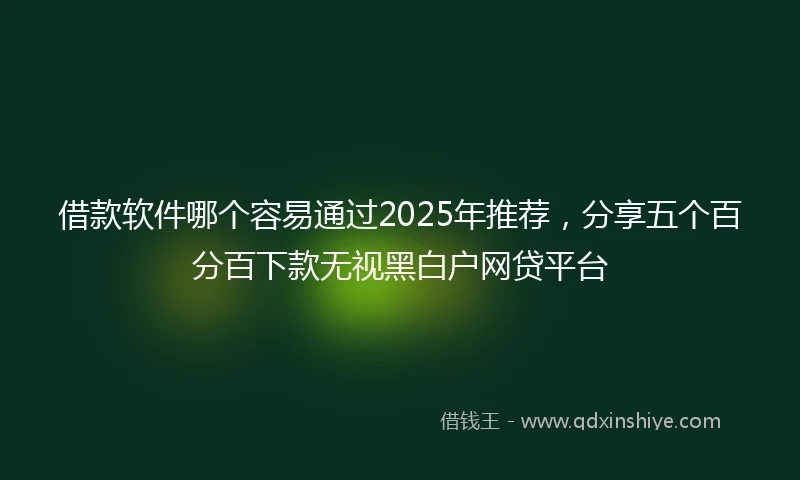 借款软件哪个容易通过2025年推荐，分享五个百分百下款无视黑白户网贷平台