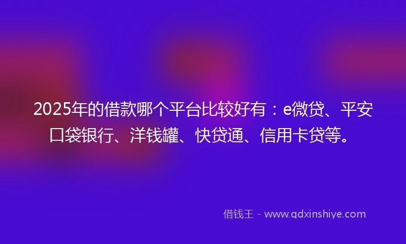 2025年的借款哪个平台比较好有：e微贷、平安口袋银行、洋钱罐、快贷通、信用卡贷等。
