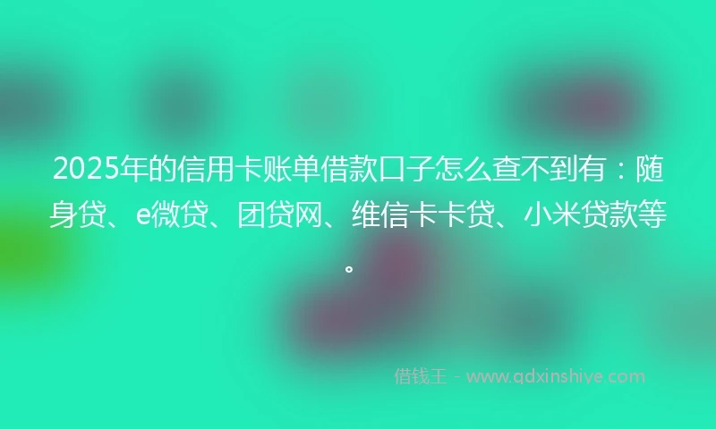 2025年的信用卡账单借款口子怎么查不到有：随身贷、e微贷、团贷网、维信卡卡贷、小米贷款等。