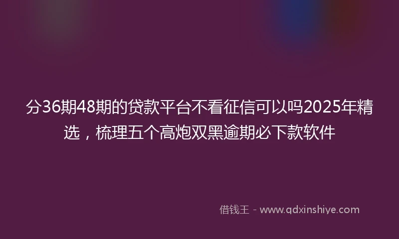 分36期48期的贷款平台不看征信可以吗2025年精选，梳理五个高炮双黑逾期必下款软件