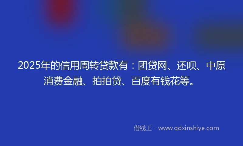 2025年的信用周转贷款有：团贷网、还呗、中原消费金融、拍拍贷、百度有钱花等。
