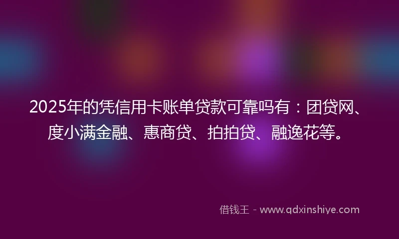 2025年的凭信用卡账单贷款可靠吗有：团贷网、度小满金融、惠商贷、拍拍贷、融逸花等。