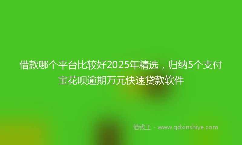 借款哪个平台比较好2025年精选，归纳5个支付宝花呗逾期万元快速贷款软件