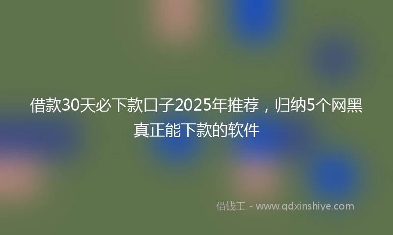 借款30天必下款口子2025年推荐，归纳5个网黑真正能下款的软件