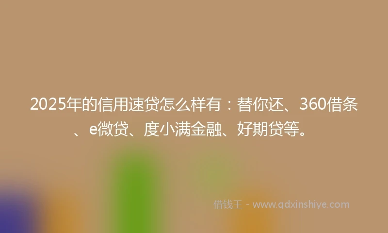 2025年的信用速贷怎么样有：替你还、360借条、e微贷、度小满金融、好期贷等。