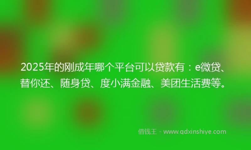 2025年的刚成年哪个平台可以贷款有：e微贷、替你还、随身贷、度小满金融、美团生活费等。