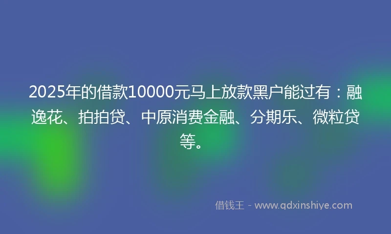 2025年的借款10000元马上放款黑户能过有：融逸花、拍拍贷、中原消费金融、分期乐、微粒贷等。