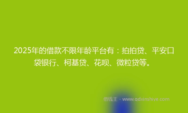 2025年的借款不限年龄平台有：拍拍贷、平安口袋银行、柯基贷、花呗、微粒贷等。