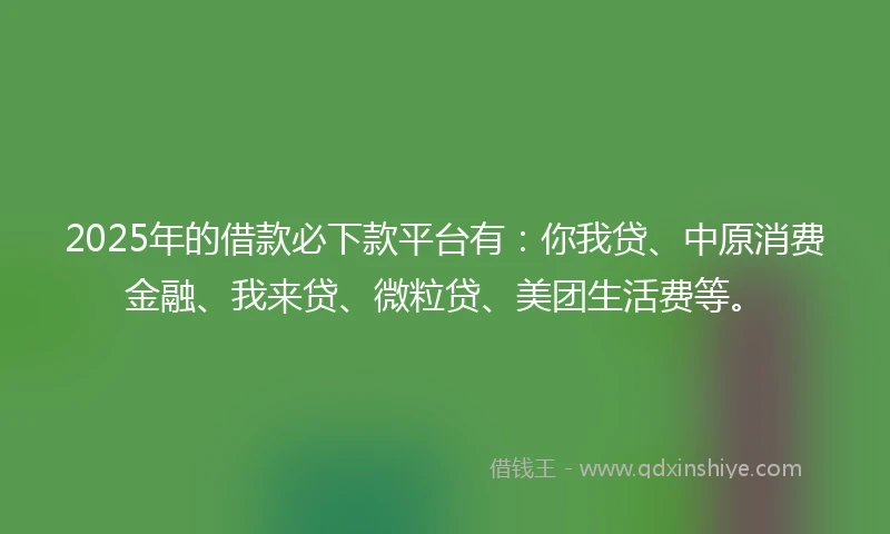 2025年的借款必下款平台有：你我贷、中原消费金融、我来贷、微粒贷、美团生活费等。