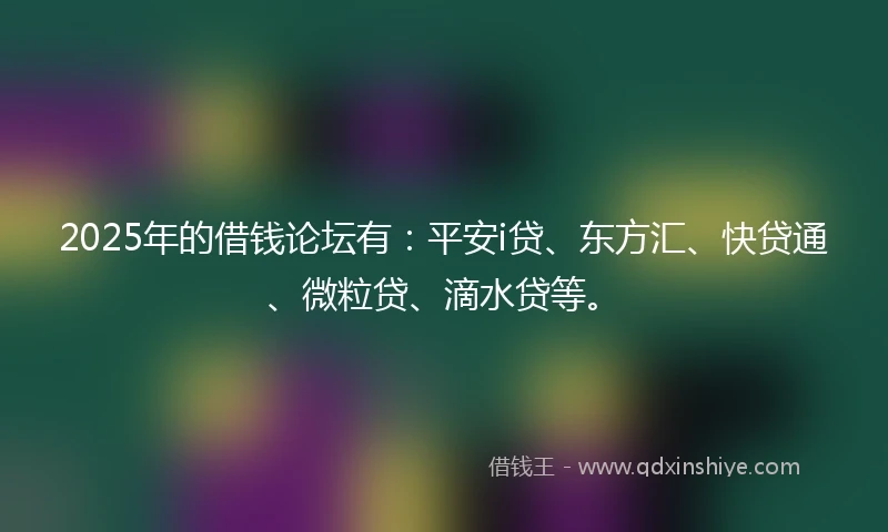 2025年的借钱论坛有：平安i贷、东方汇、快贷通、微粒贷、滴水贷等。